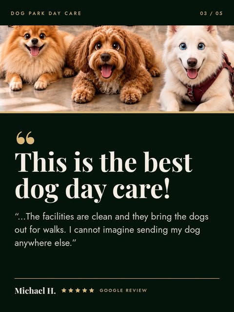 Google review graphic reading This is the best dog day care, with three happy dogs