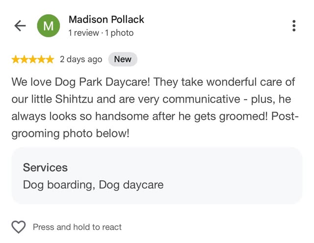 Five star Google review from a client whose Shih Tzu came home freshly groomed
