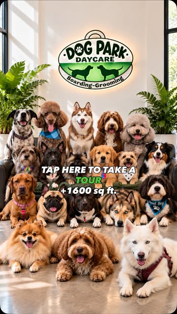 Tour invitation showing our 1,600 sq ft space filled with happy dogs